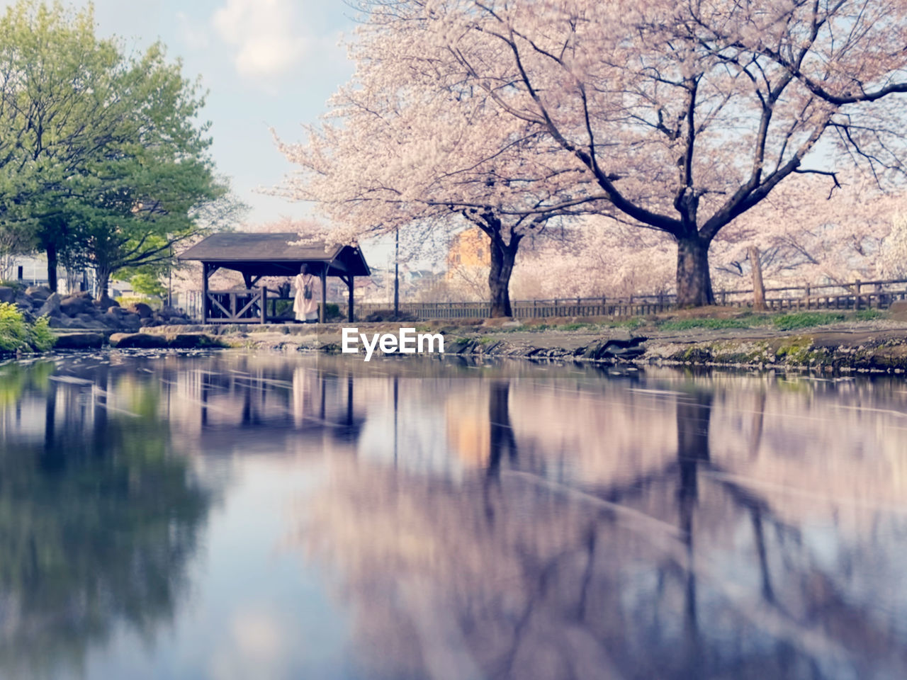 tree, reflection, plant, water, flower, nature, lake, beauty in nature, architecture, winter, sky, morning, no people, tranquility, built structure, autumn, branch, springtime, outdoors, day, bare tree, scenics - nature, landscape, tranquil scene, spring, building exterior, environment, blossom, building, cloud, waterfront