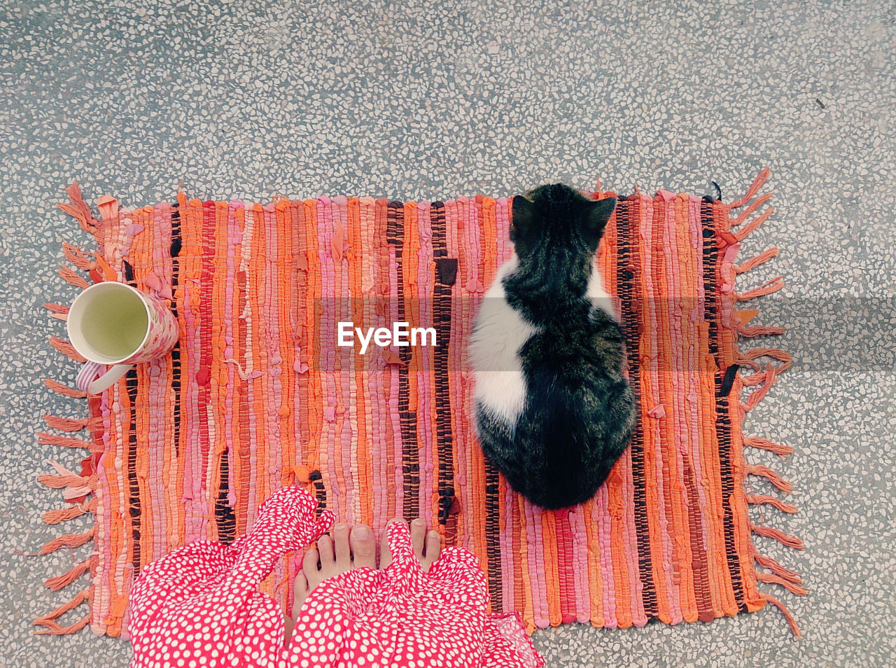 Low section of woman standing by cat and drink on carpet