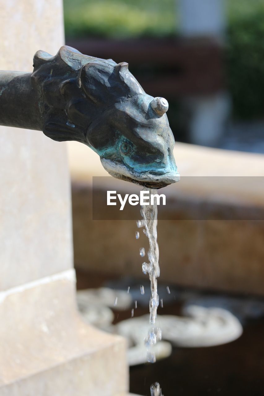 CLOSE-UP OF WATER FOUNTAIN AGAINST BLACK BACKGROUND