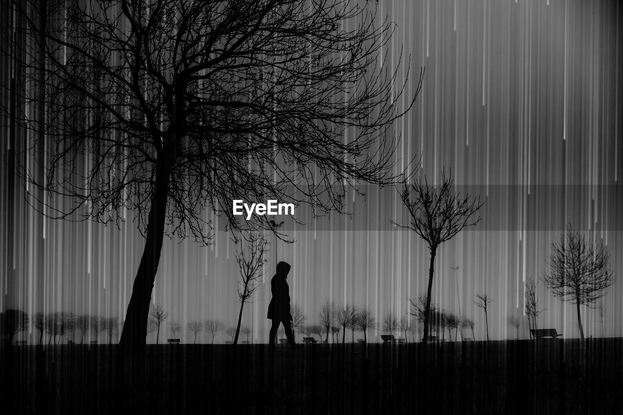 SILHOUETTE MAN STANDING BY BARE TREE ON FIELD AGAINST SKY