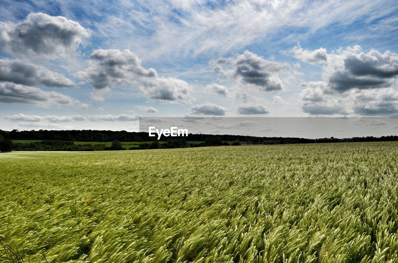 View of countryside landscape