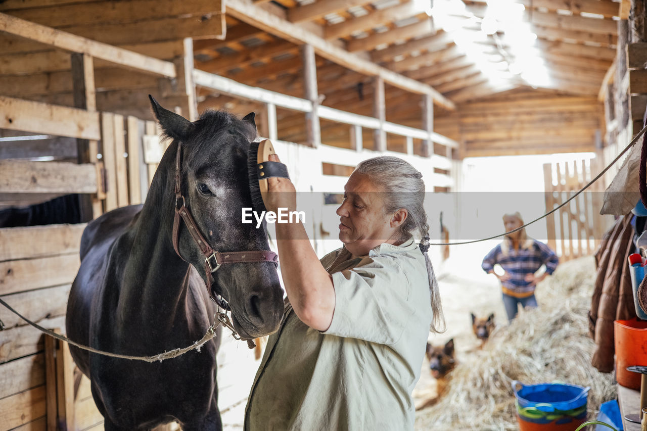 Side view of senior woman standing in stable