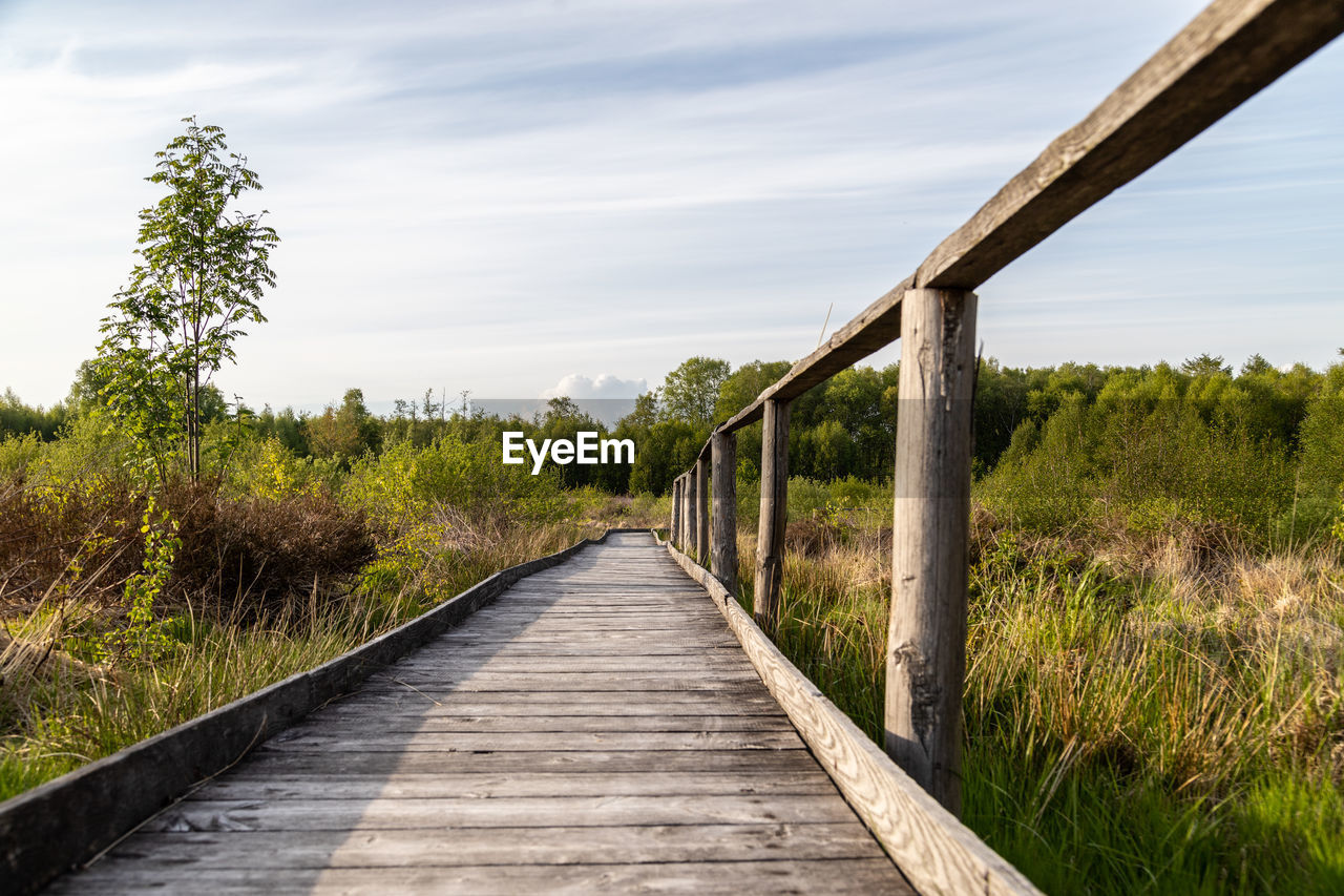 Hiking trail on wooden boardwalks through the todtenbruch moor in the raffelsbrand region 