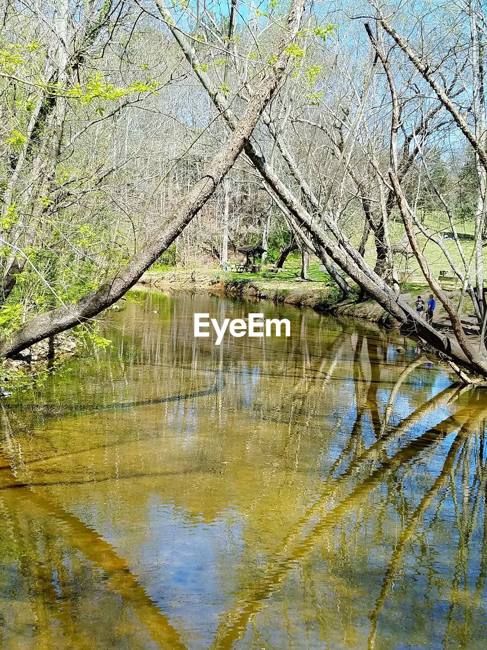 SCENIC VIEW OF LAKE