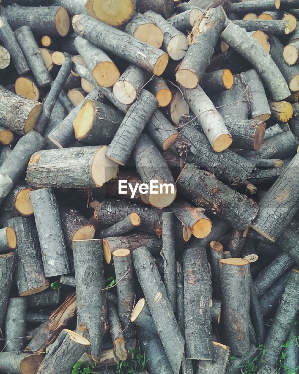 High angle view of firewood on field