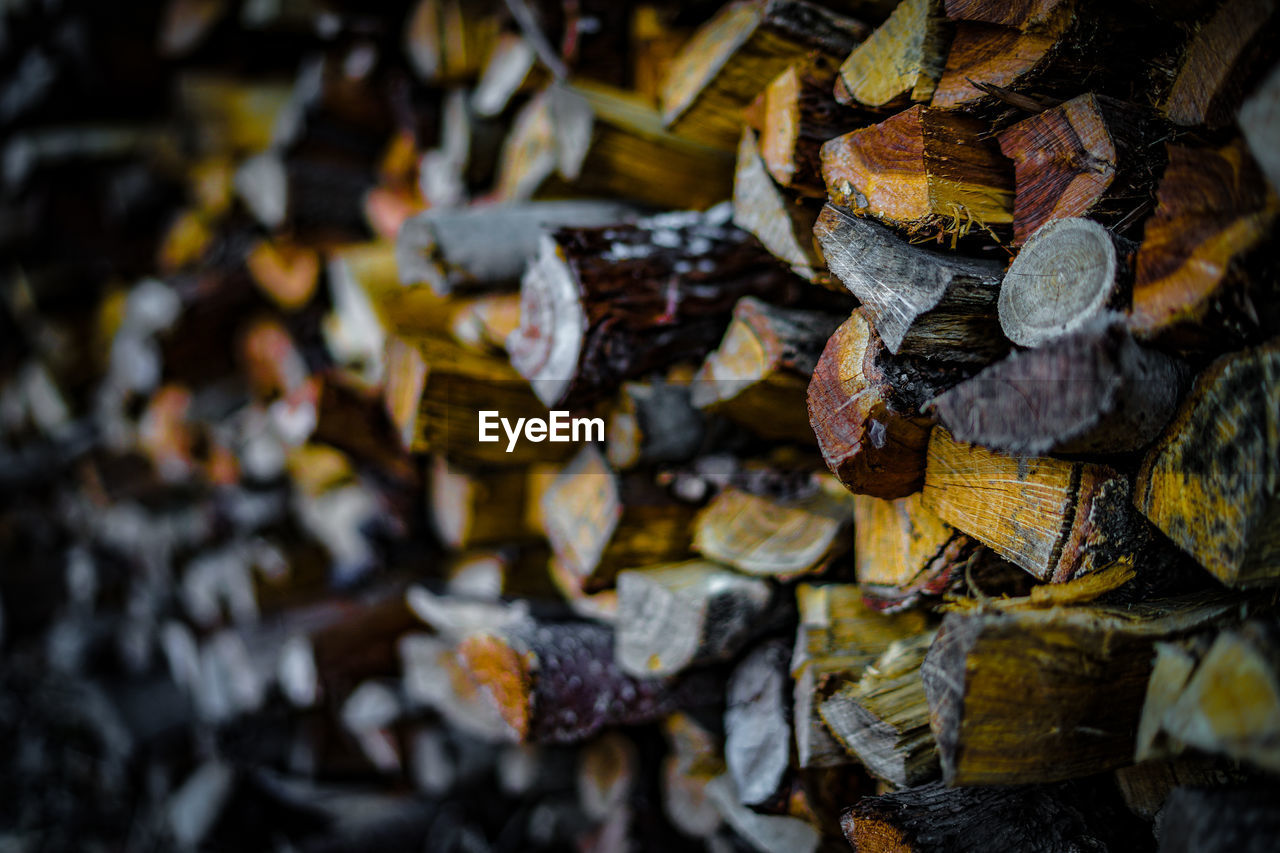 FULL FRAME SHOT OF LOGS HANGING ON LOG