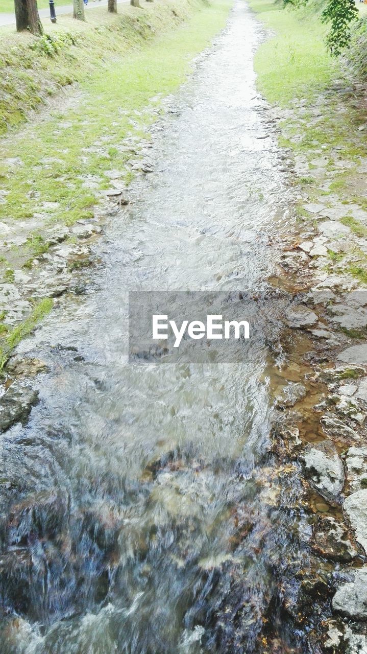 RIVER FLOWING IN GRASS