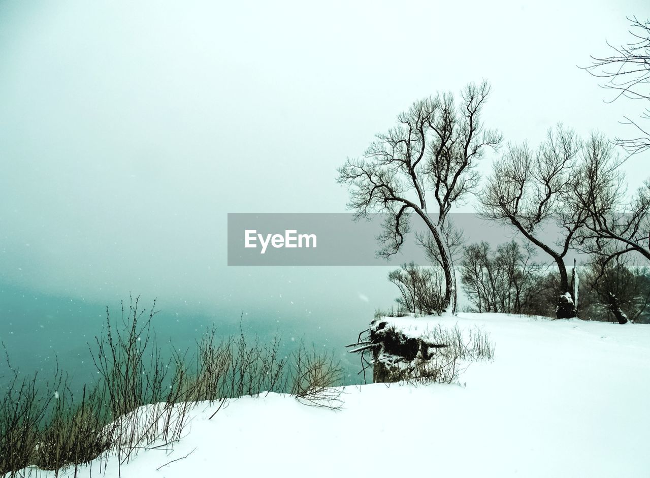 BARE TREES ON SNOW FIELD AGAINST SKY