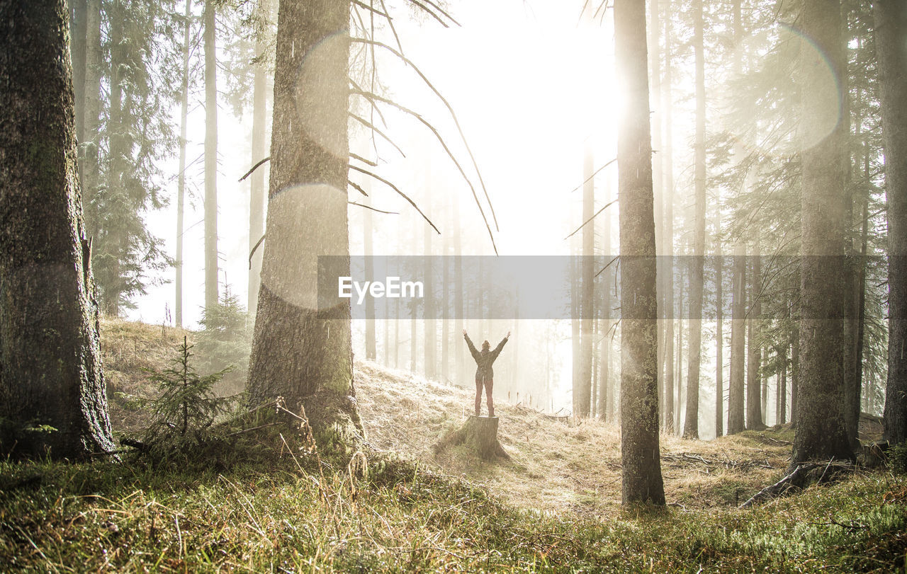 Woman in forest against sky