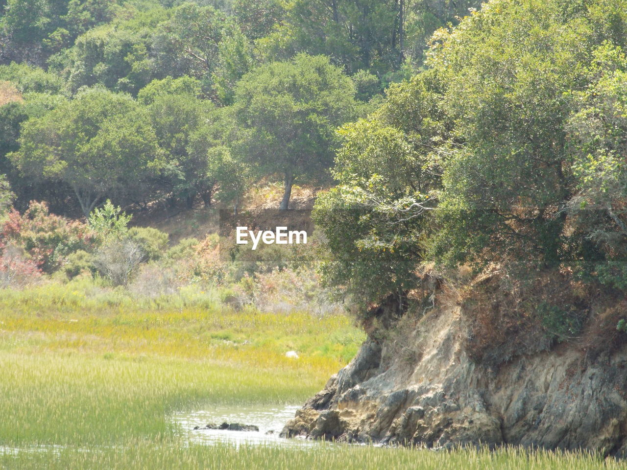 SCENIC VIEW OF WATERFALL