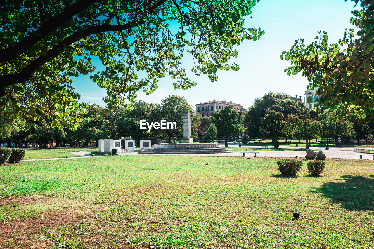 TREES AND PLANTS IN A PARK