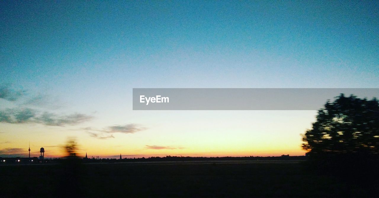 SILHOUETTE OF TREES AT SUNSET