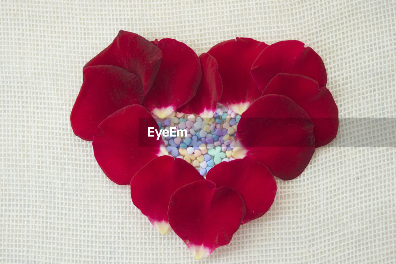 Close-up of red heart shaped flower