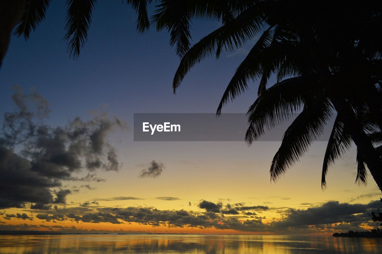 Silhouette palm trees by sea against sky during sunset