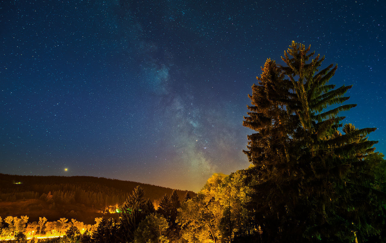 Low angle view of silhouette trees against sky at night