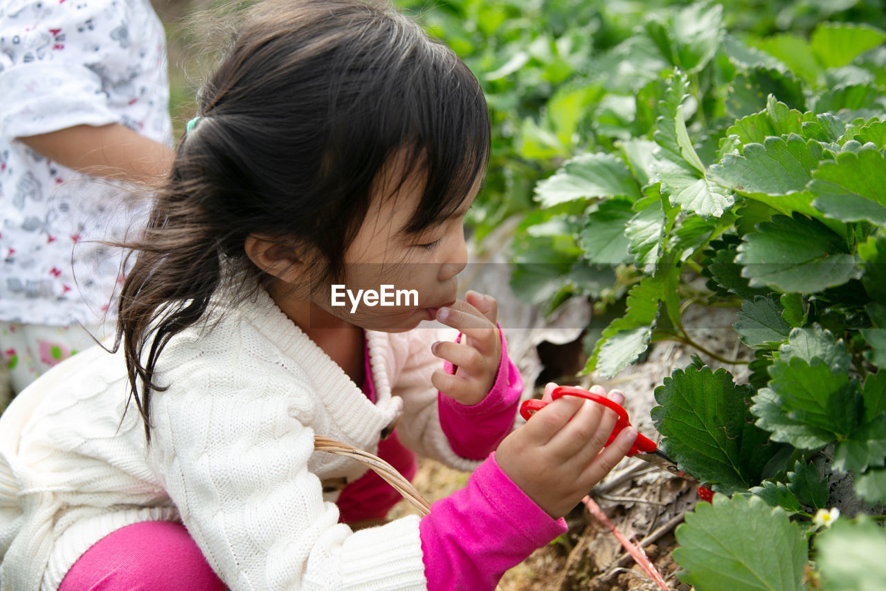 women, female, growth, plant, childhood, child, nature, flower, agriculture, food and drink, food, one person, leaf, freshness, adult, plant part, holding, healthy eating, toddler, gardening, person, produce, lifestyles, day, black hair, outdoors, wellbeing, garden, fruit, picking, landscape, looking, casual clothing, vegetable, crop, baby, cute, environment, beauty in nature, hairstyle, leisure activity, rural scene, green, organic, education