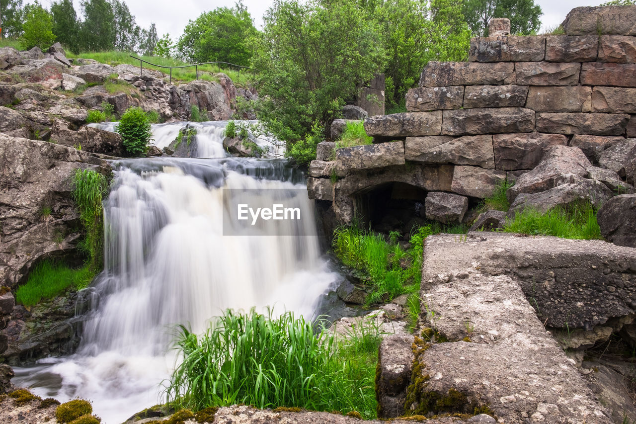 WATERFALL IN FOREST