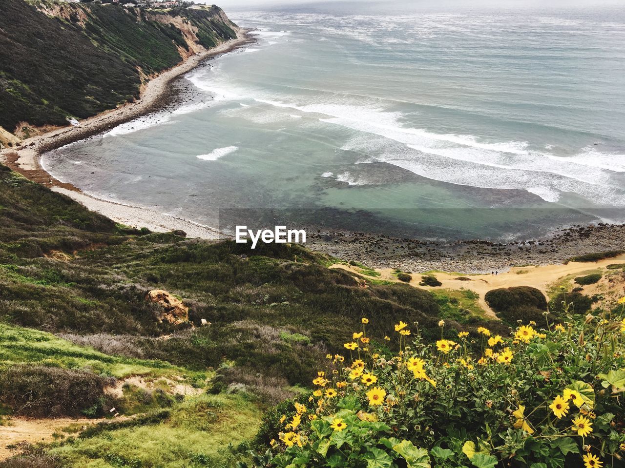 Scenic view of beach