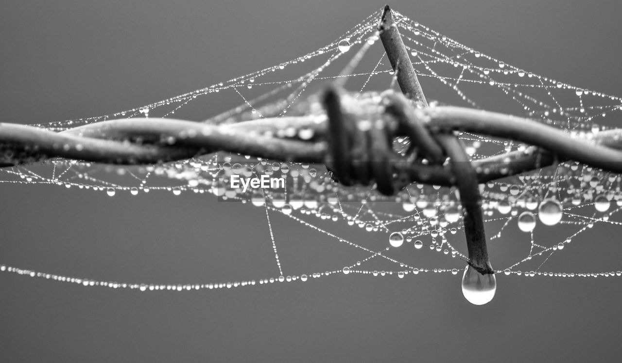 CLOSE-UP OF SPIDER WEB ON METAL