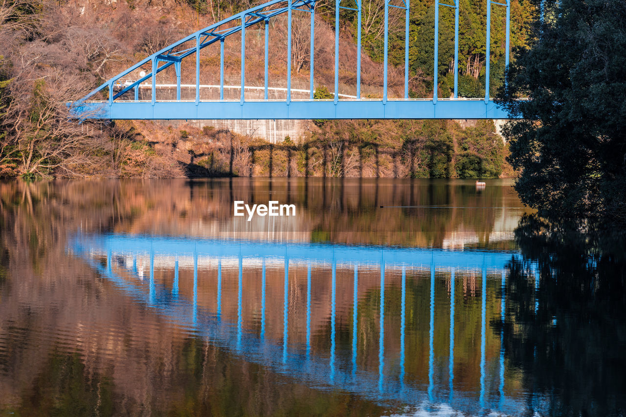 Bridge over river against trees