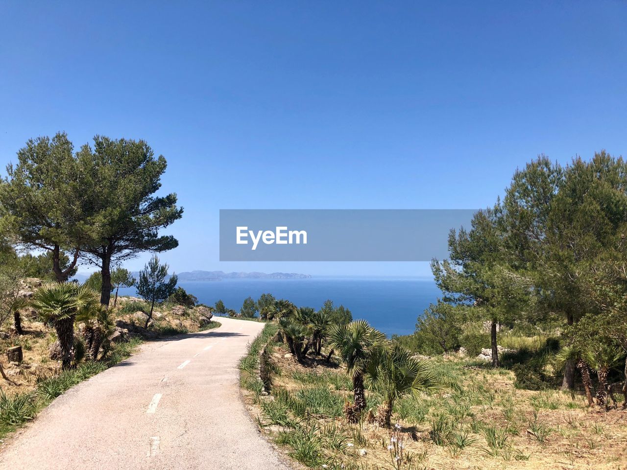 Road amidst trees and sea against clear blue sky