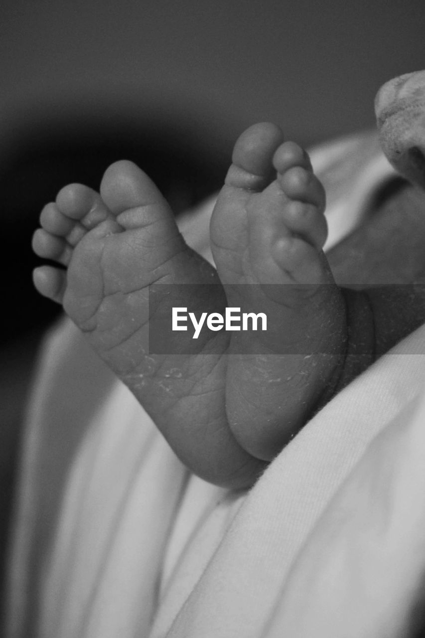 Close-up of baby feet at home