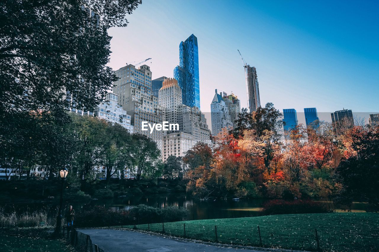 Trees in park with city in background