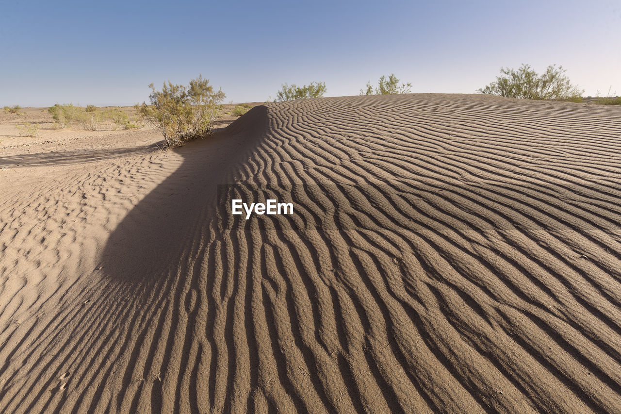 Landscape in the desert in the town of m´hamid