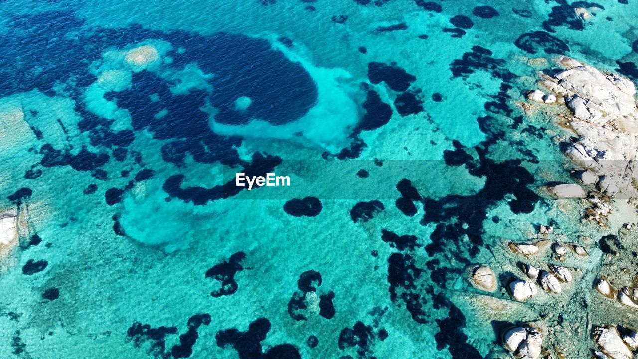 coral reef, marine biology, water, reef, underwater, no people, high angle view, nature, day, blue, sea, coral, full frame, backgrounds, turquoise colored, outdoors, pattern, beauty in nature