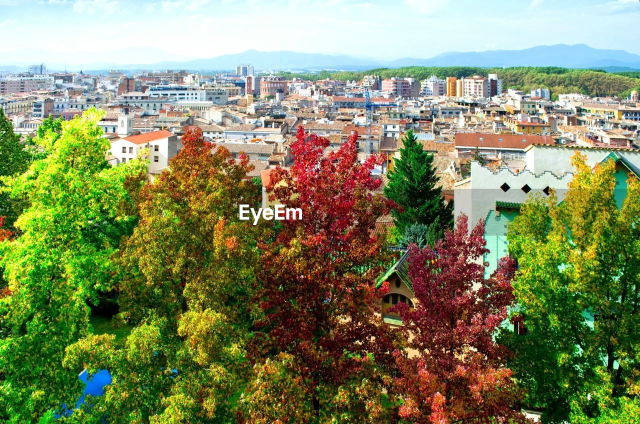 HIGH ANGLE VIEW OF TOWNSCAPE AND TREES AGAINST SKY