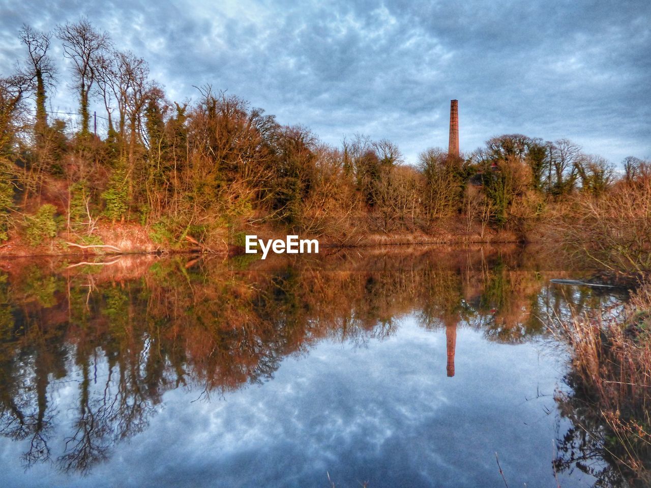 REFLECTION OF TREES IN LAKE