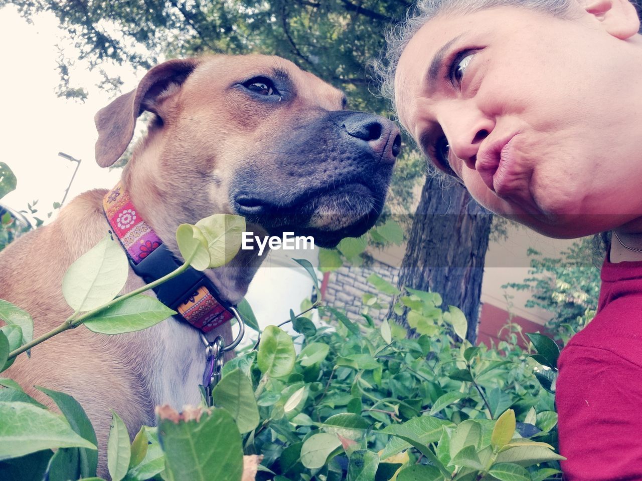 Close-up of woman looking at dog against tree