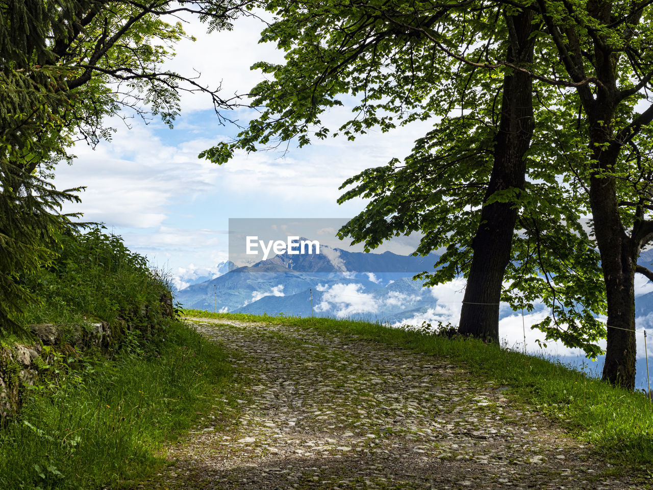 Trail in the italian alps of lake como