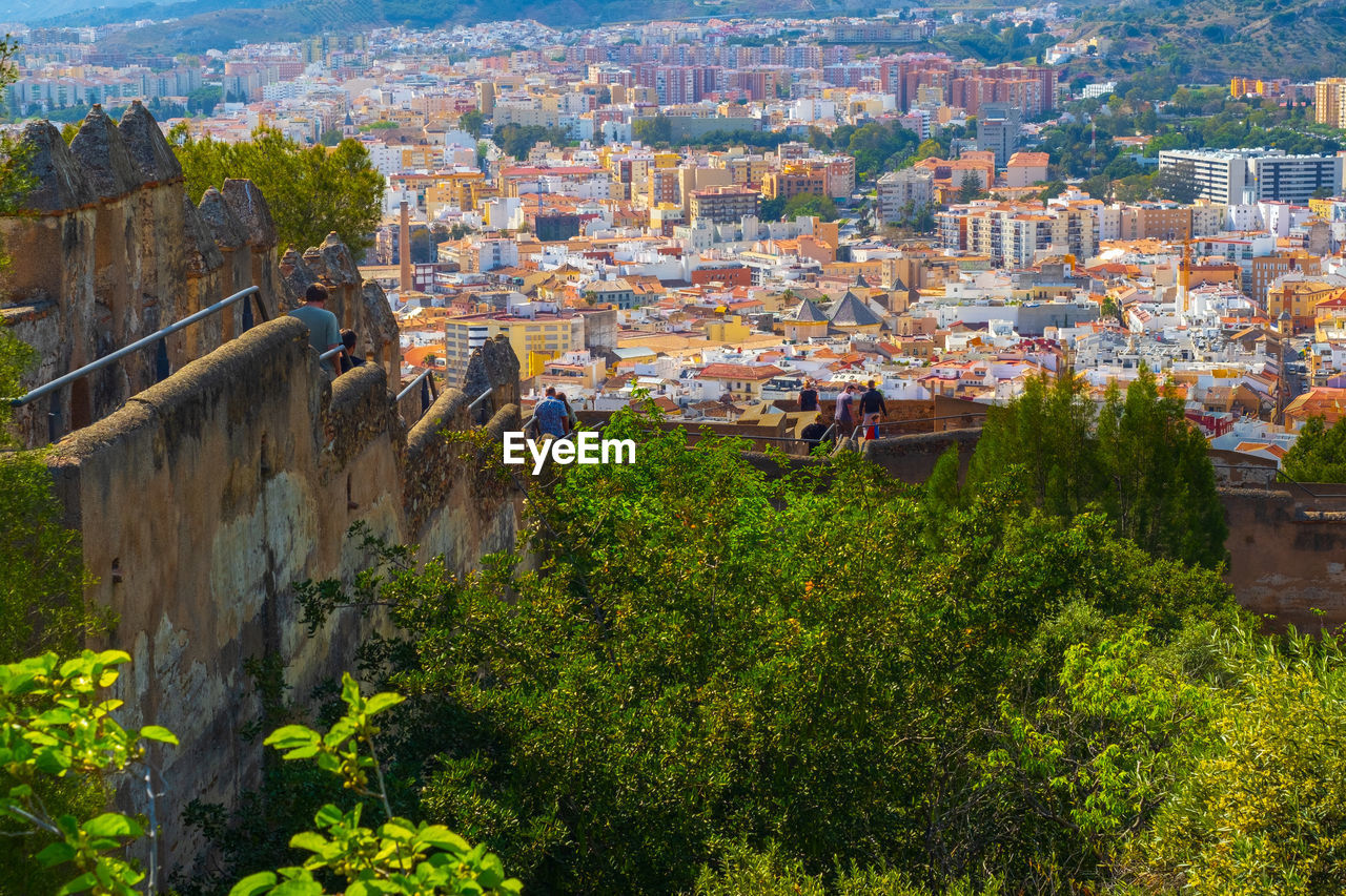 HIGH ANGLE VIEW OF TREES AND BUILDINGS