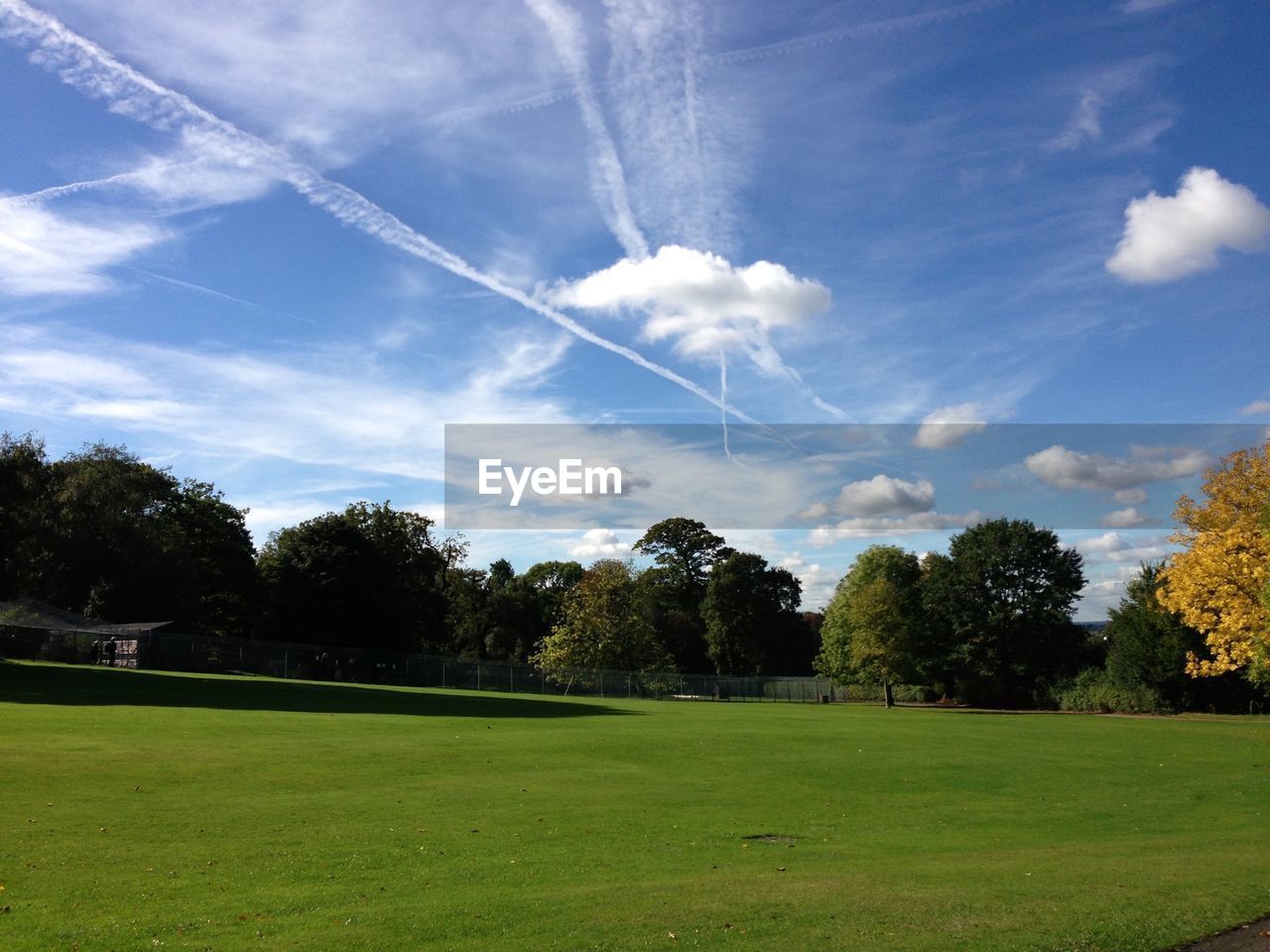 TREES ON GRASSY FIELD AGAINST CLOUDY SKY