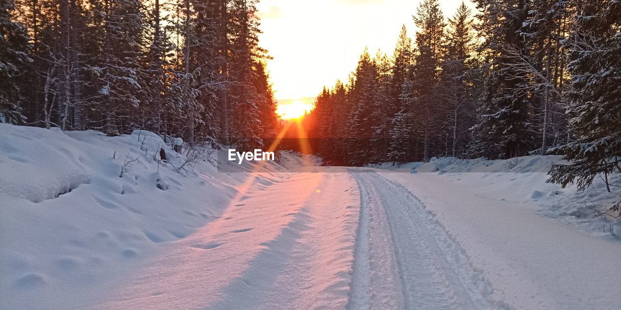snow, cold temperature, winter, nature, tree, sunset, plant, sky, beauty in nature, scenics - nature, sun, sunlight, landscape, environment, road, land, frozen, transportation, lens flare, no people, tranquility, tranquil scene, non-urban scene, the way forward, forest, pinaceae, coniferous tree, pine tree, outdoors, travel, mountain, sunbeam, white, pine woodland, piste, day, idyllic, freezing, ice, diminishing perspective