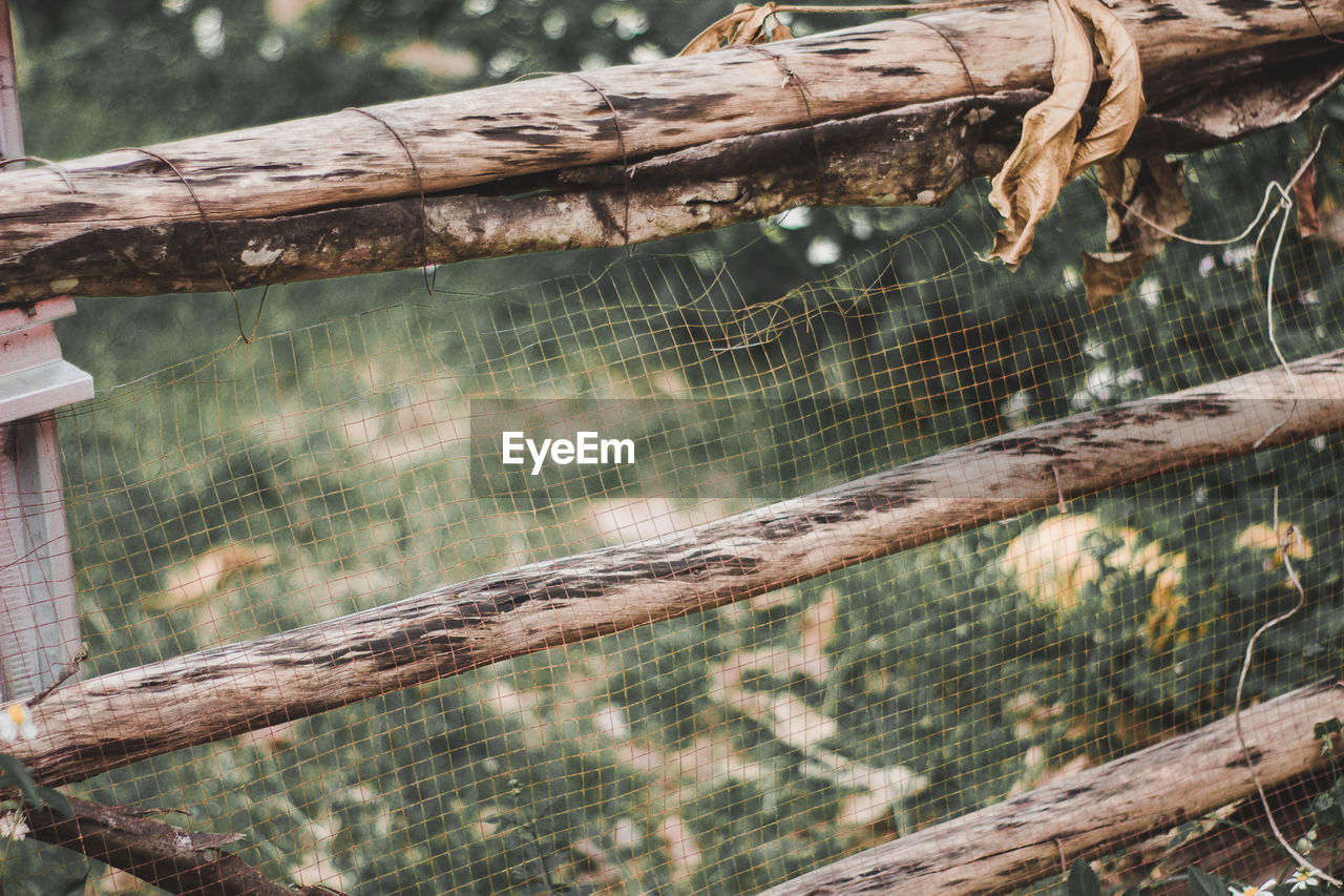 Close-up of fence and wood in forest