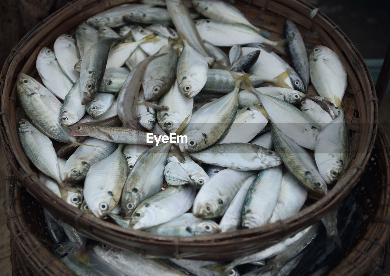 Close-up of fish for sale in market