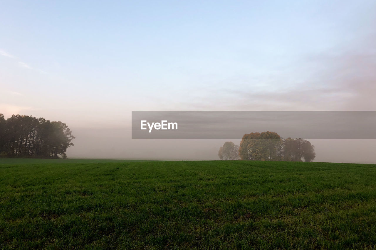 SCENIC VIEW OF GRASSY FIELD AGAINST SKY AT SUNSET