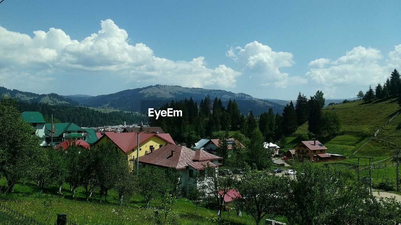 Panoramic view of houses and trees in vatra dornei, romania