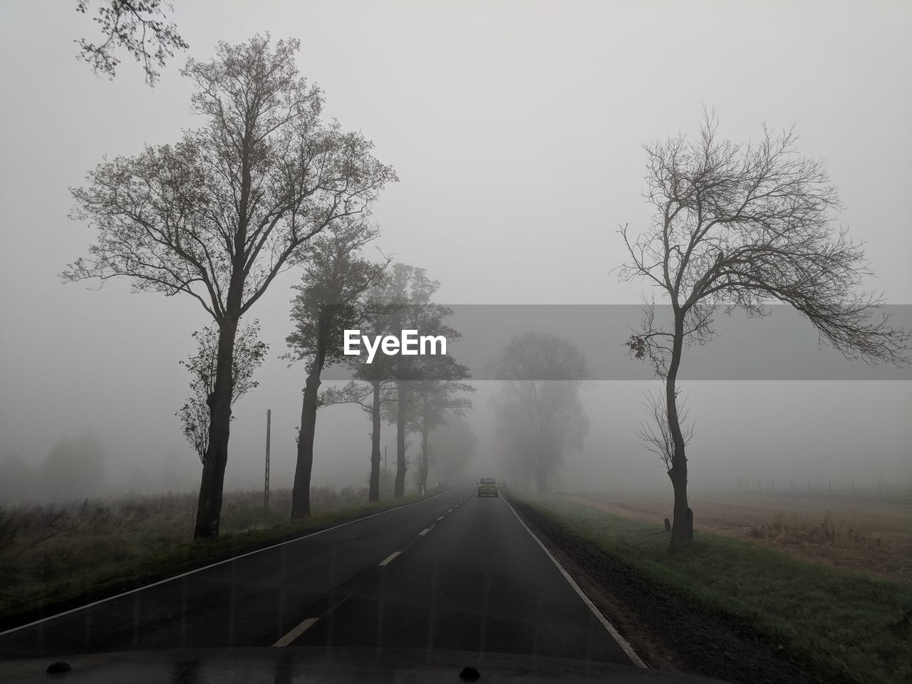 Road amidst trees against sky during foggy weather