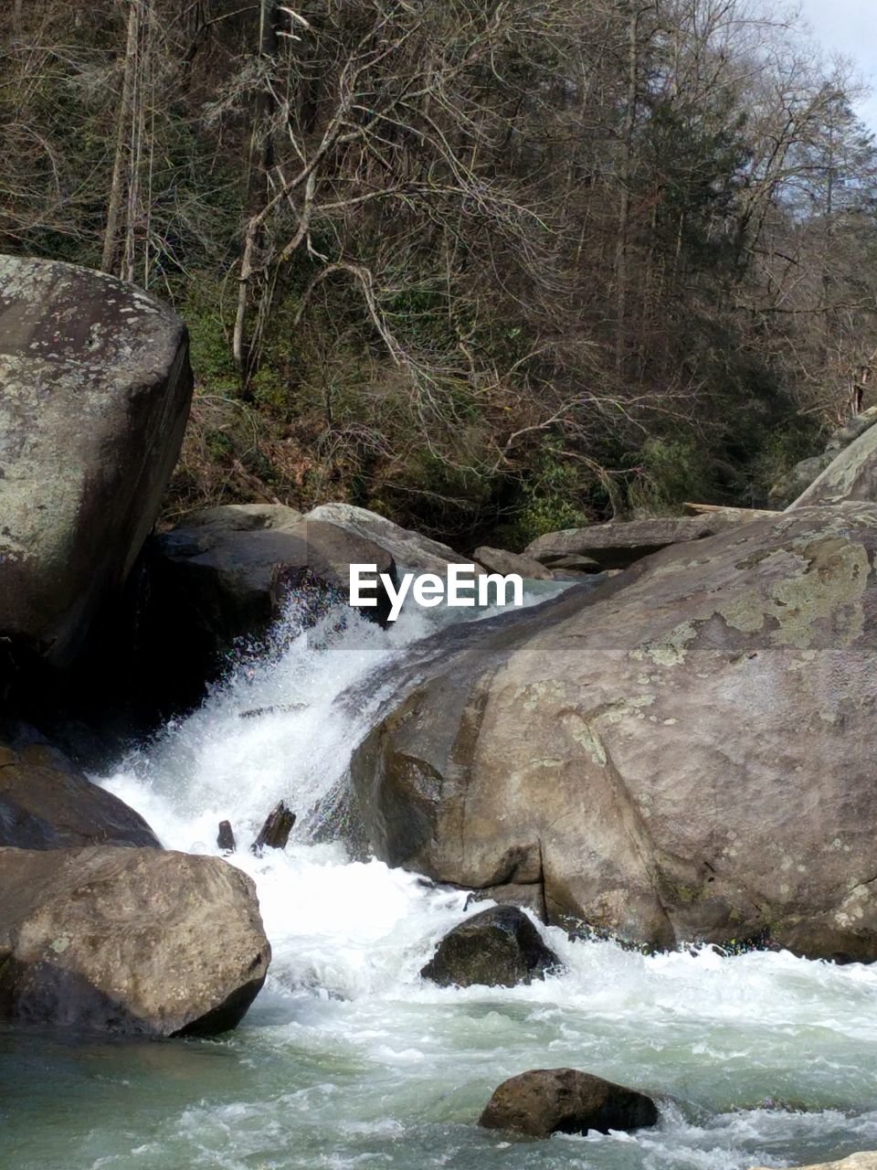 SCENIC VIEW OF WATERFALL