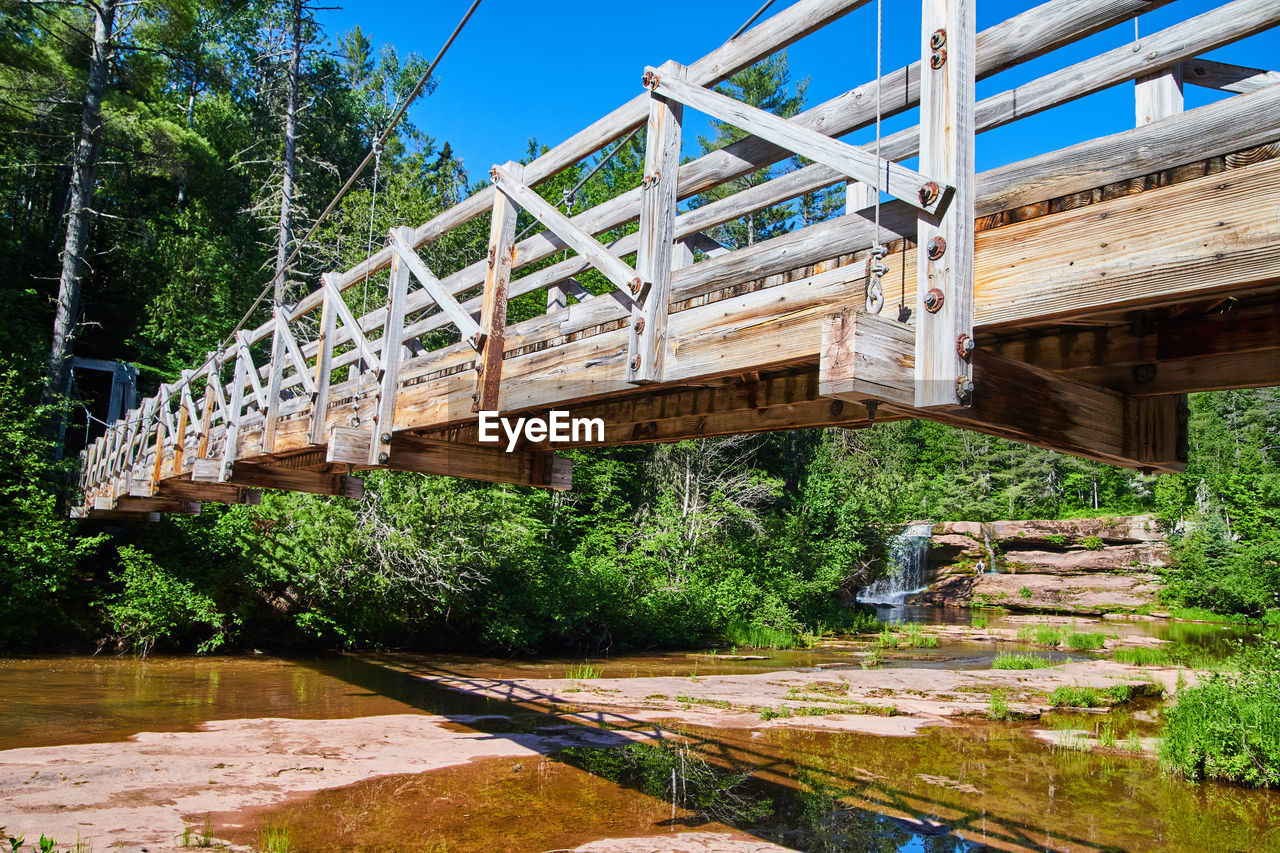 VIEW OF BRIDGE IN FOREST