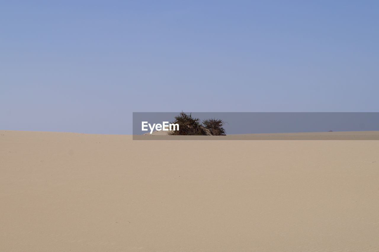 Scenic view of desert against clear blue sky