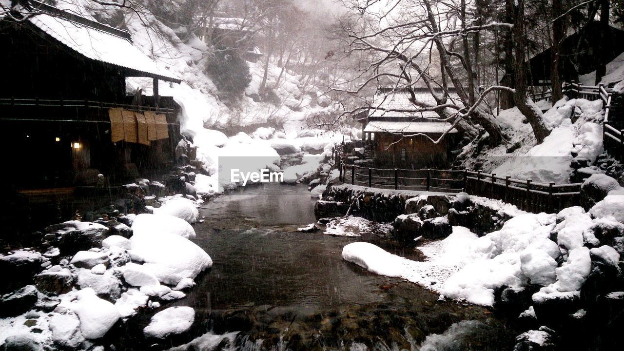 VIEW OF SNOW COVERED TREES