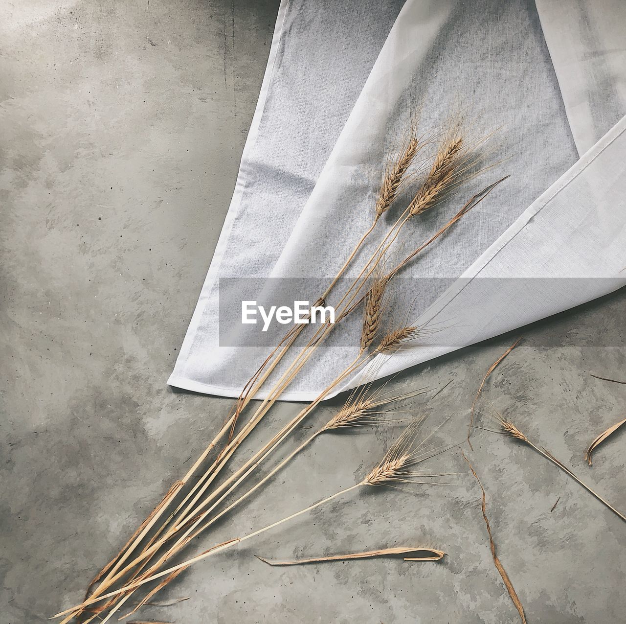 High angle view of dried plants and textile