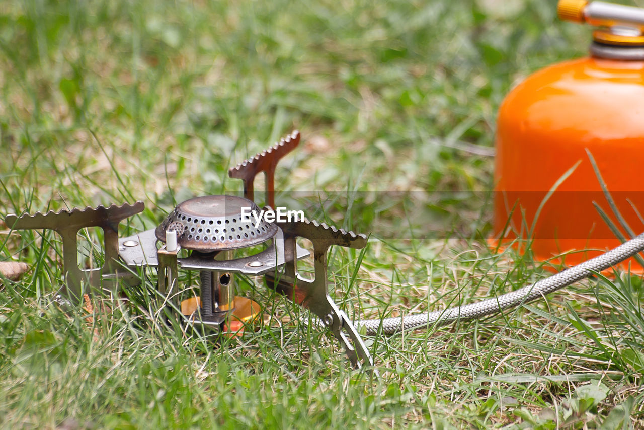 CLOSE-UP OF MUSHROOM ON GRASS