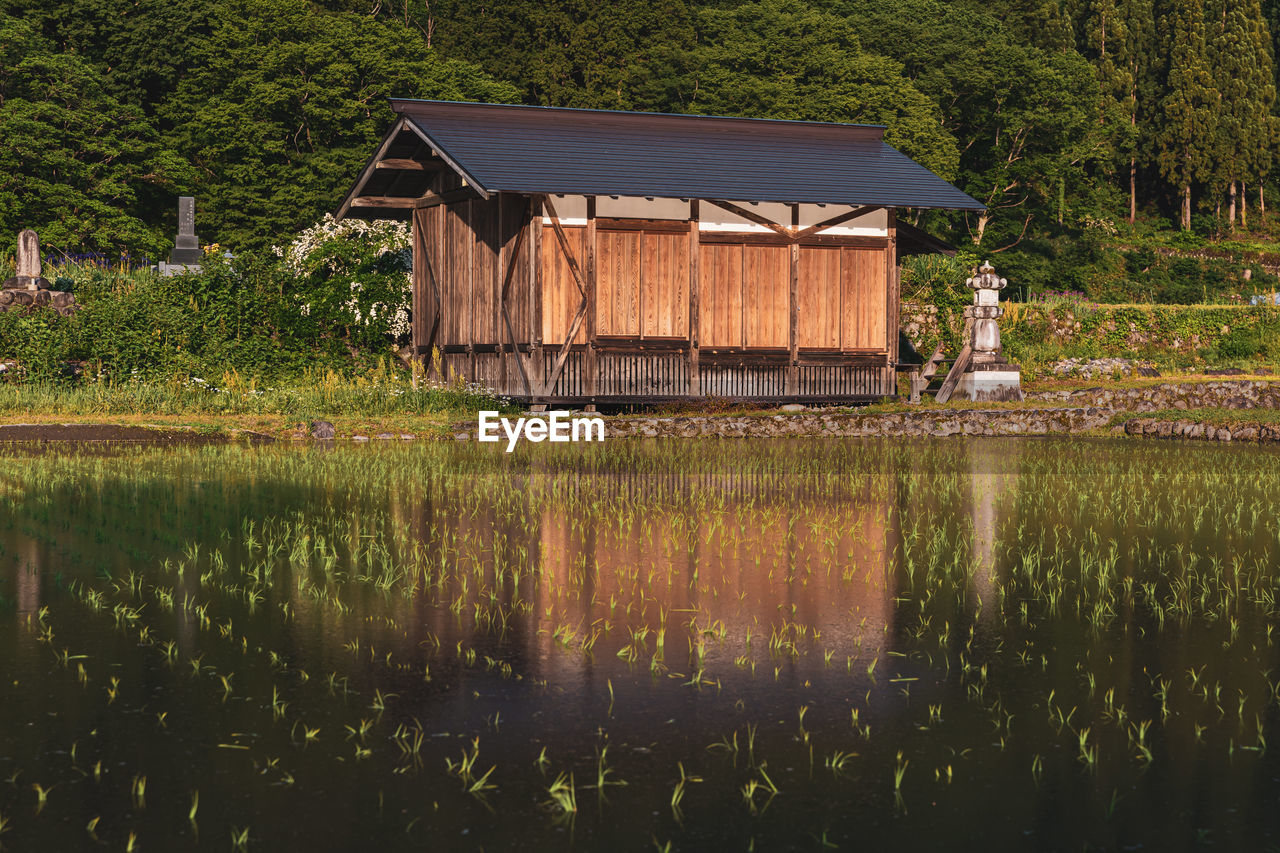 Rice fields ready for the summer season in shirakawago, japan