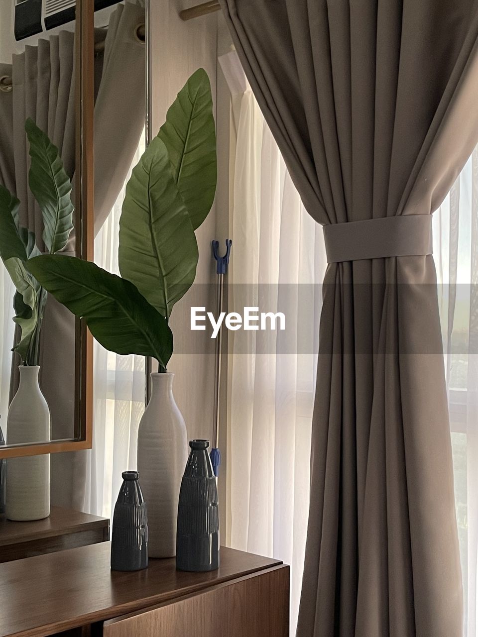 Potted plant in vase against window