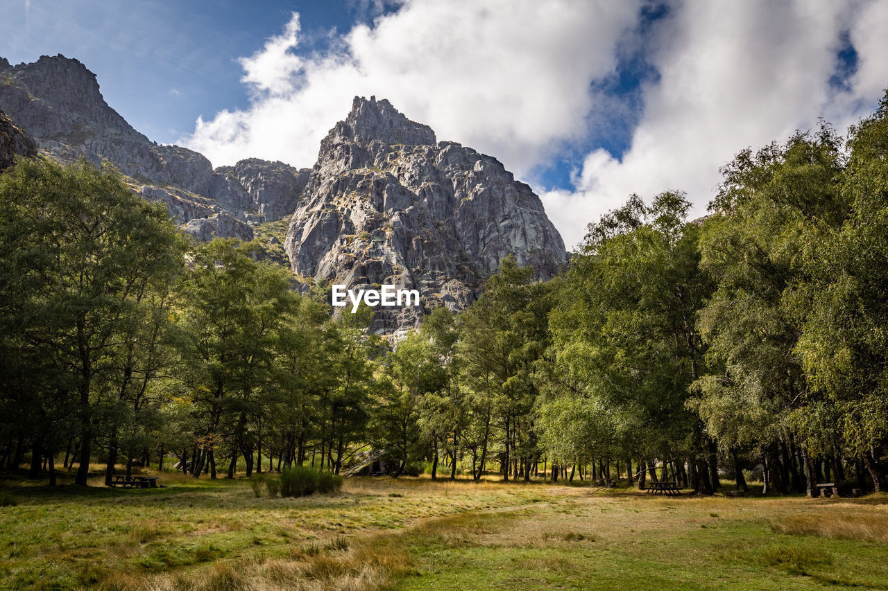 Scenic view of trees and mountains against sky